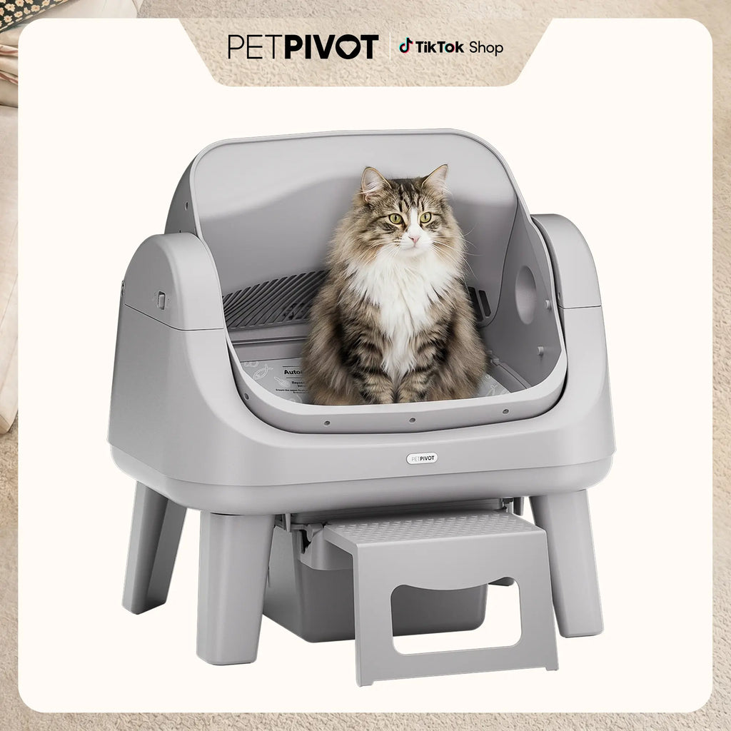 Automatic Open-Top Cat Litter Box with Self-Cleaning, Easy Front Entry & Triple Safety Protection